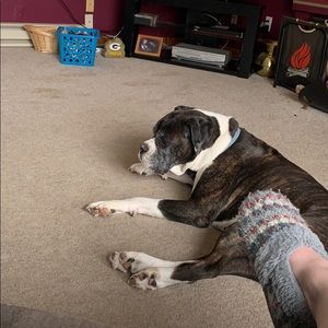 Meet your Posher, Kathleen